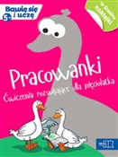 Pracowanki... - Wiesława Żaba-Żabińska, Małgorzata Kwaśniewska -  Książka z wysyłką do Niemiec 