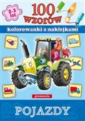 100 wzorów... - buch auf polnisch 