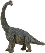Dinozaur B... - Ksiegarnia w niemczech