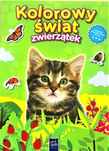 Bild von Kolorowy świat zwierzątek. Kotek