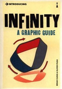 Bild von Introducing Infinity A Graphic Guide