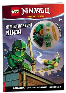 Bild von Lego Ninjago Nieustraszeni Ninja