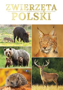 Obrazek Zwierzęta Polski