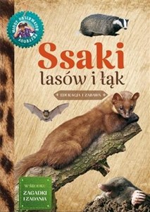 Bild von Ssaki lasów i łąk Młody Obserwator Przyrody