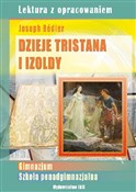 Polnische buch : Dzieje Tri... - Agnieszka Nożyńska-Demianiuk