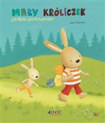 Mały króli... - Heidi Dhamers -  fremdsprachige bücher polnisch 