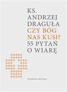 Obrazek Czy Bóg nas kusi? 55 pytań o wiarę