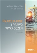 Polska książka : Prawo karn... - Michał Grudecki, Olga Sitarz