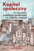 Kapitał sp... - Agnieszka Barczykowska -  Książka z wysyłką do Niemiec 
