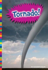 Bild von RAUM, E: TORNADO!