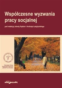 Obrazek Współczesne wyzwania pracy socjalnej