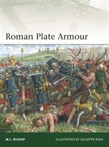 Bild von Roman Plate Armour