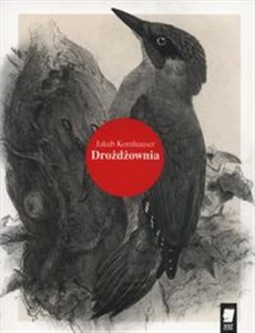 Bild von Drożdżownia