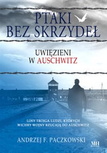 Obrazek Ptaki bez skrzydeł Uwięzieni w Auschwitz