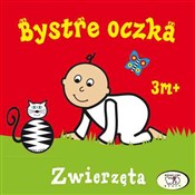 Bystre ocz... - Joanna Homel, Iwona Janoszek - buch auf polnisch 