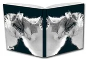 Polnische buch : Notes Kotk...
