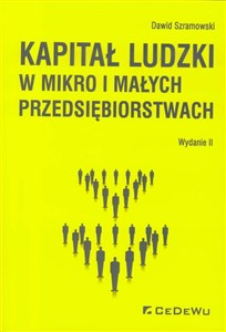 Obrazek Kapitał ludzki w mikro i małych przedsiębiorstwach