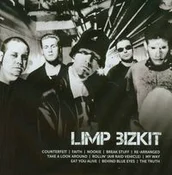 Polnische buch : Icon Colle... - Limp Bizkit