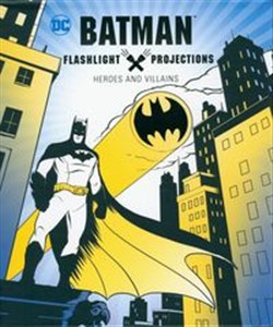 Bild von Batman Flashlight projections