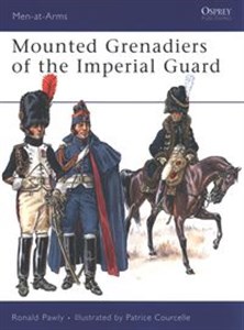 Bild von Mounted Grenadiers of the Imperial Guard