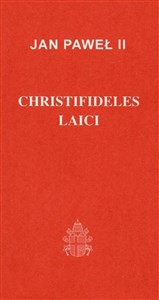 Bild von Christifideles laici