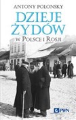 Polska książka : Dzieje Żyd... - Antony Polonsky