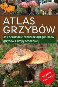 Bild von Atlas grzybów Jak bezbłędnie oznaczać 340 gatunków grzybów Europy Środkowej