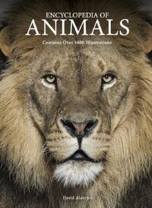 Bild von Encyclopedia of Animals