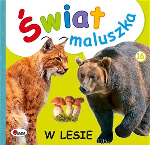 Obrazek Świat maluszka w lesie