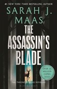 Zobacz : The Assass... - Sarah J. Maas