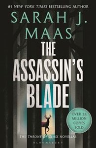 Bild von The Assassin's Blade