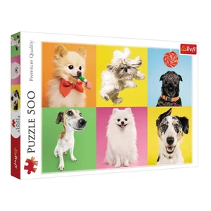Bild von Puzzle 500 Psy