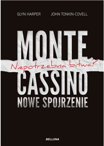 Obrazek Monte Cassino nowe spojrzenie