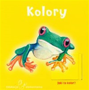 Bild von Kolory