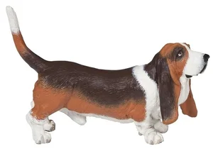 Bild von Basset