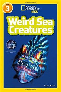 Bild von Weird Sea Creatures