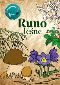 Bild von Runo leśne. Kolorowanka