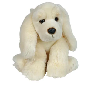 Obrazek Spaniel jasny
