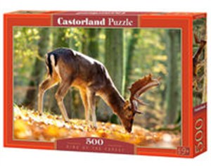 Bild von Puzzle King of the Forest 500