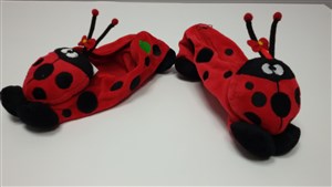 Obrazek PIÓRNIK PLUSZOWY BIEDRONKA