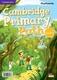 Bild von Cambridge Primary Path Foundation Level Flashcards