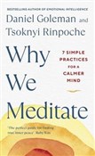 Why We Med... - Daniel Goleman, Tsoknyi Rinpoche - Ksiegarnia w niemczech