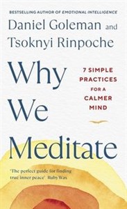 Bild von Why We Meditate