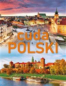 Cuda Polsk... - Izabela Wojtyczka, Paweł Wojtyczka, Dawid Lasociński - buch auf polnisch 