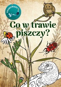 Obrazek Co w trawie piszczy. Kolorowanka