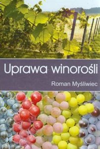 Bild von Uprawa winorośli