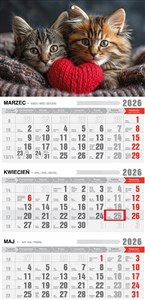 Bild von Kalendarz 2026 trójdzielny ekonomiczny Kotki KTE VE19