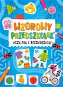 Polska książka : Wzorowy pr... - Katarzyna Łanocha