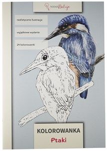 Obrazek Kolorowanka Ptaki
