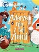 Polska książka : Zwierzę ni... - Artur Gębka